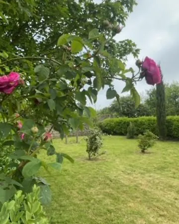 Holiday home Le D'emmy - Rose