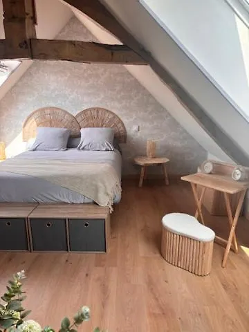 Le D'emmy - Rose Commes