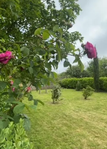 別荘 Le D'emmy - Rose