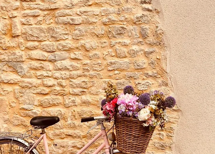 別荘 Le D'emmy - Rose Commes